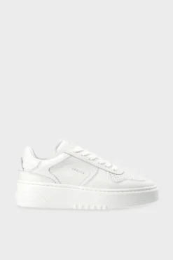 CPH71 vitello white